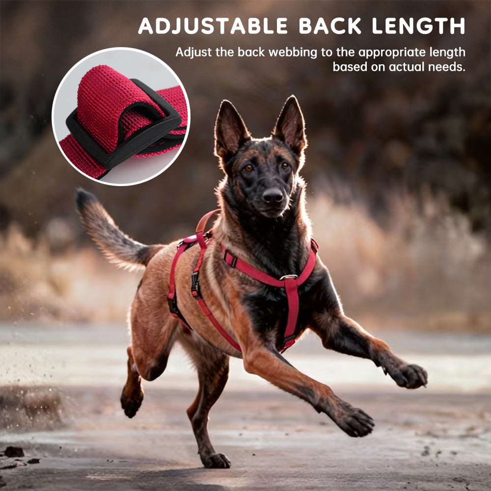 Tactical No-Pull Dog Harness, Bulletproof Vest Style for Large Dogs